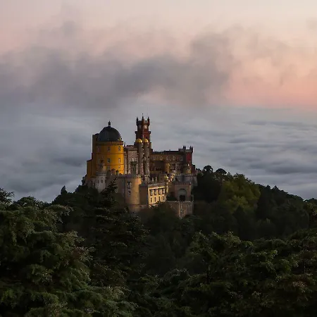 With Garden And Pool Apartamento Estoril